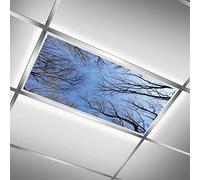 MEHOM Cache-lampes fluorescentes pour salle de classe, bureau, cime d'arbre, forêt LED, couvercle de plafonnier décoratif - 61 x 122 cm