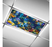 MEHOM Cache-lampes fluorescentes pour salle de classe, bureau, vie sous-marine, monde sous-marin, cache-plafonnier LED, film de protection pour fenêtre de toit, filtre décoratif, 61 x 122 cm