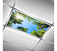 MEHOM Cache-plafonniers fluorescents pour salle de classe, bureau, ciel d'arbre, couvercle de plafonnier LED bleu ciel étoilé avec filtre décoratif - 61 x 122 cm