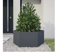 Meilleures Jardinière - SHOP - Pot de fleurs-Bac à fleurs anthracite hexagone 104x90x45 cm acier SSD5103021