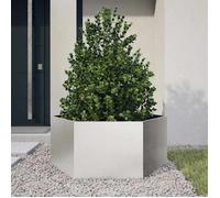 Meilleures Jardinière - SHOP - Pot de fleurs-Bac à fleurs hexagone 104x90x45 cm acier inoxydable SSD6186554