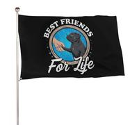 Meilleurs Amis Pour La Vie, Amoureux Des Carlins, Design Vintage Sur L'Amitié Animale Bannière Décoratif Drapeau Résistant Aux Intempéries Drapeau De Jardin Pour Jardin Pelouse 90X150Cm