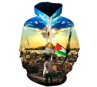 MEIMIYI Sweat Homme Impression Numérique 3D Manches Longues Sweat Homme Jeunesse SSE Tendance Hip Hop Pullover Homme Casual Personnalité Sweat À Capuche Homme DD-03 L