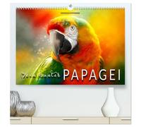Mein bunter Papagei (hochwertiger Premium Wandkalender 2026 DIN A2 quer), Kunstdruck in Hochglanz: Eindrucksvolle Bilder der exotischen Vögel.