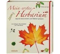 Mein erstes Herbarium - Bäume bestimmen und Blätter pressen Saan, Anita van (Auteur)