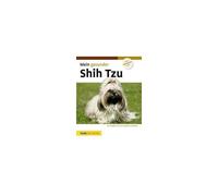 Mein Gesunder Shih Tzu