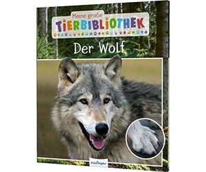 Meine große Tierbibliothek: Der Wolf: Sachbuch für Vorschule & Grundschule