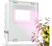 Meine Orangerie - Lampe LED pour l'hivernage des plantes méditerranéennes - Développée avec des experts en agrumes. Lumière à spectre complet pour plantes (35)