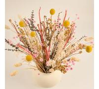 Meine Orangerie - Lot de 180 fleurs séchées - Bouquet de fleurs séchées - Décoration élégante et naturelle - Décoration de table - Décoration de mariage (Precious Mary)