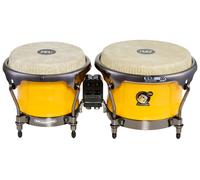 Meinl Meinl Artist Alexandra Alban Bongos