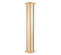 Meinl Meinl PRORM1NT Pro Rainmaker