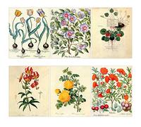 Meishe Art Lot de 6 affiches imprimées vintage fleurs botaniques botaniques plantes florales tulipes jaunes rose alcea décoration murale pour la maison (20 cm x 25 cm)