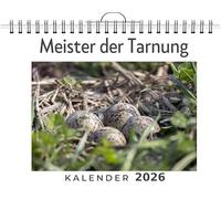 Meister der Tarnung: (Wandkalender 2026, Kalender DIN A4 quer, Monatskalender im Querformat mit Kalendarium, das perfekte Geschenk)