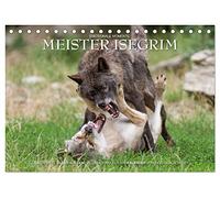 Meister Isegrim (Tischkalender 2026 DIN A5 quer), CALVENDO Monatskalender: Zauberhafte Bilder aus dem Leben des Wolfes. Ein Kalender von Ingo Gerlach GDT.