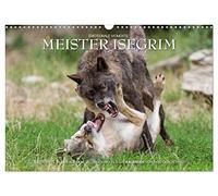 Meister Isegrim (Wandkalender 2026 DIN A3 quer), CALVENDO Monatskalender: Zauberhafte Bilder aus dem Leben des Wolfes. Ein Kalender von Ingo Gerlach GDT.