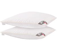 Meisterhome Lot de 2 - Oreillers en duvet Plumes Coton Dimensions : 80 x 80 cm Platinum - 2000 grammes