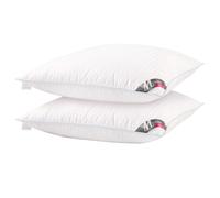 Meisterhome Lot de 2 - Oreillers en duvet Plumes Coton Dimensions : 80 x 80 cm Premium - 1700 grammes