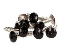 MEISTERLING® Lot de 100 vis de façade en acier inoxydable V4A 4,8 x 20 mm - Tête plate Torx T20 + 1 embout - Noir