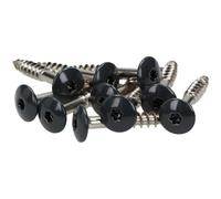 MEISTERLING® Lot de 100 vis de façade en acier inoxydable V4A, 4,8 x 20 mm, tête plate Torx T20 + 1 embout, anthracite