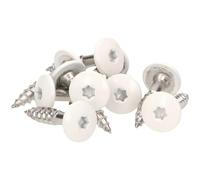 Meisterling® Lot de 100 vis de façade en acier inoxydable V4a Inox, avec tête plate colorée thermolaquée et empreinte Torx T 20 + 1 embout, blanc, blanc