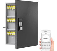 MEIVIYA Petit Coffre-Fort Coffre-Fort à 72 clés WeHere, Armoire de Rangement Intelligente à Fixation Murale for clés, OTP/APP Bluetooth/Code Fixe, déverrouillage des clés(Black 72 Key)