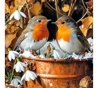 MEIYUDA Diamond Painting 5D Complet, Peinture Diamant Adulte Diamond-Painting Oiseau mignon, Enfant Peinture Diamant Aquabeads pour Murale Décoration 30x30cm