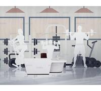MEIZONGHUOJI Papier Peint Intissé Exercices En Salle De Sport Salon Chambre Papier Peint Panoramique Décoration Murale 400Cm(W) X280Cm(H)
