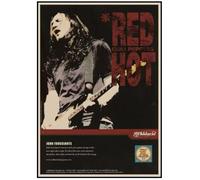 MEIZONGHUOJI Poster De John Frusciante Star Du Rock Et Guitariste : Décoration Murale Tableau Peinture Décoration Intérieure 50 * 70 Cm Sans Cadre