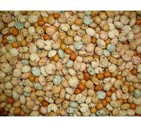 Mélange Apéritif de 8 variétés d'arachides salées 1kg | Arachides enrobées de maïs et graines de sésame et blé frit | Collations gourmandes assorties adaptées aux végétaliens | sac refermable| Dorimed