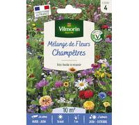 Mélange Champêtre - 10 m² - Mélange de fleurs