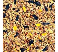 Mélange d'aliments pour oiseaux sauvages de qualité supérieure avec graines de tournesol, maïs et grains mélangés