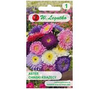 Mélange d'asters chinois « Prince »Mélange d'asters chinois « Prince »