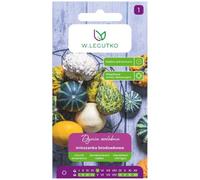 Mélange de courges décoratives à protubérances