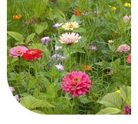 Mélange de fleurs coupées annuelles - 1 kg pour 500 m² - 32 variétés de graines à couper pour un jardin coloré - Convient à tous les types de sol