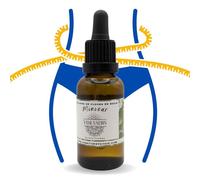 Mélange de Fleurs de Bach Minceur – Élixir floral naturel 30 ml avec pipette – Soutien émotionnel et équilibre intérieur – Fabriqué en France
