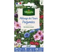Mélange de fleurs parfumées - VILMORIN - Graines - Rose - Massif - Eté