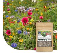 Mélange de fleurs pour prairie d’abeilles - 250 g pour 125 m² - Graines de fleurs multicolores annuelles et vivaces - Source naturelle de nourriture pour abeilles, bourdons et papillons