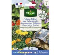 Vilmorin Graines Mélange de fleurs pour Tortues Terrestres