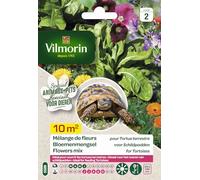 Mélange de fleurs pour Tortues Terrestres
