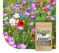 Mélange de fleurs sauvages annuelles et vivaces | 1 kg - 500 m² | 62 variétés | Fleurs sauvages multicolores & riches en nectar | Attire les abeilles et les papillons