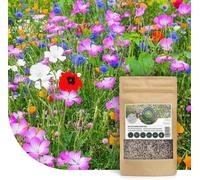 Mélange de fleurs sauvages annuelles et vivaces | 250g - 125 m² | 62 variétés | Fleurs sauvages multicolores & riches en nectar | Attire les abeilles et les papillons