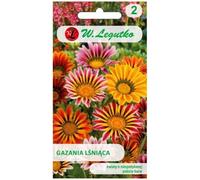 Mélange de gazanias brillantes (graines décortiquées)