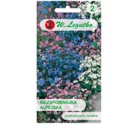 Mélange de myosotis des Alpes