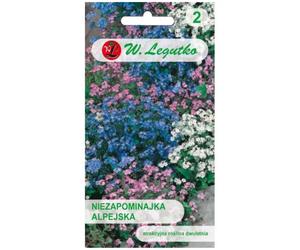 Mélange de myosotis des Alpes