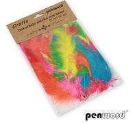 Mélange de plumes 10-15cm 50pcs