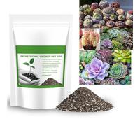 Mélange de terreau pour cactus succulents, technologie de croissance des plantes, terreau contenant de la perlite, du sable et du gravier, mélange de rempotage de jardin pour une utilisation en