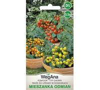 Mélange de tomates cerises de variétés 0,5g de graines-WegAna