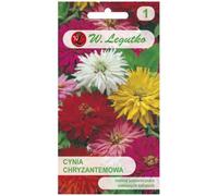 Mélange de zinnias élégants et de chrysanthèmes