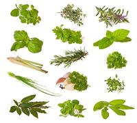 Mélange d'herbes (herbes culinaires) - 14 types - ~1600 ++ graines - triées par type -