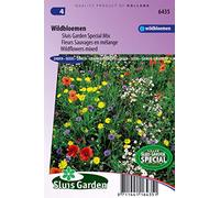 Mélange FLeurs Sauvages (annuel/vivace) - Graines De Fleurs Annuelles